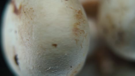 macro detailed video of a pile of mushrooms, raw champignons, white caps, on a rotating stand, smooth movement, slow motion 120fps