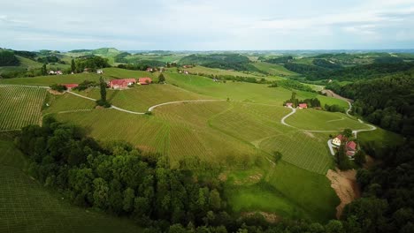 aerial landscape orbit shot of vineyards on hills slovenia europe