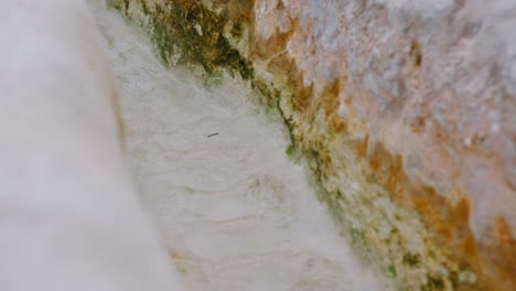 close up of limestone calcium rocks in pamakkule