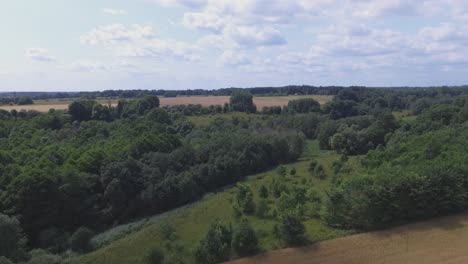 A-Green-Bushy-Area-Between-Cultivated-Agricultural-Fields-On-A-Sunny-Day