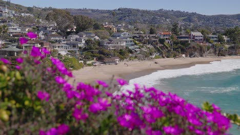 a view of the california coast, looking over pink flowers