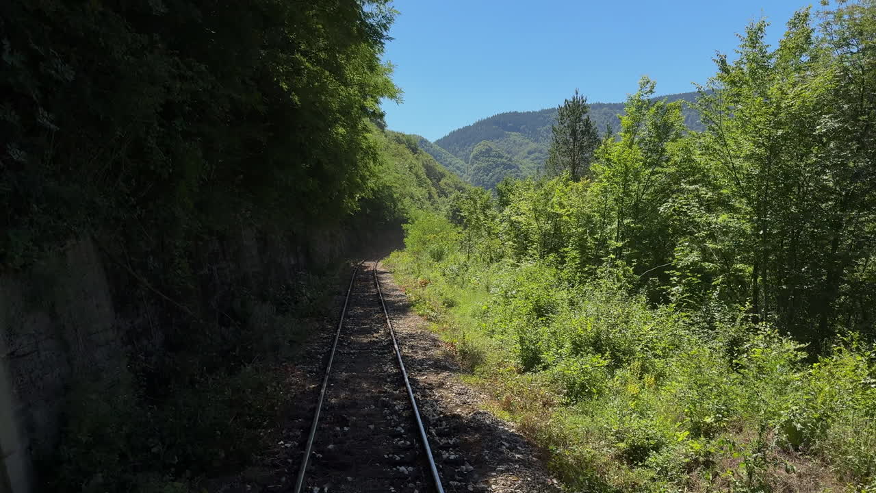 Old train railroad passing through dense forest on the mountains. day time, wide moving shot