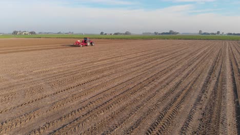 Drone-shot-of-red-tractor-plowing-brown,-dutch,-earthy-farmland-in-vertical-lines-with-seagulls-flying