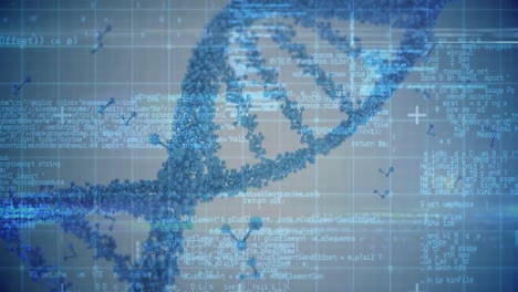 Spinnende-DNA-Helix-Gegen-Digitalen-Code