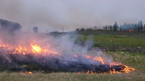 Incendios-Forestales-Se-Propagan-Rápidamente-Sobre-La-Vegetación-Seca-En-Alberta,-Canadá