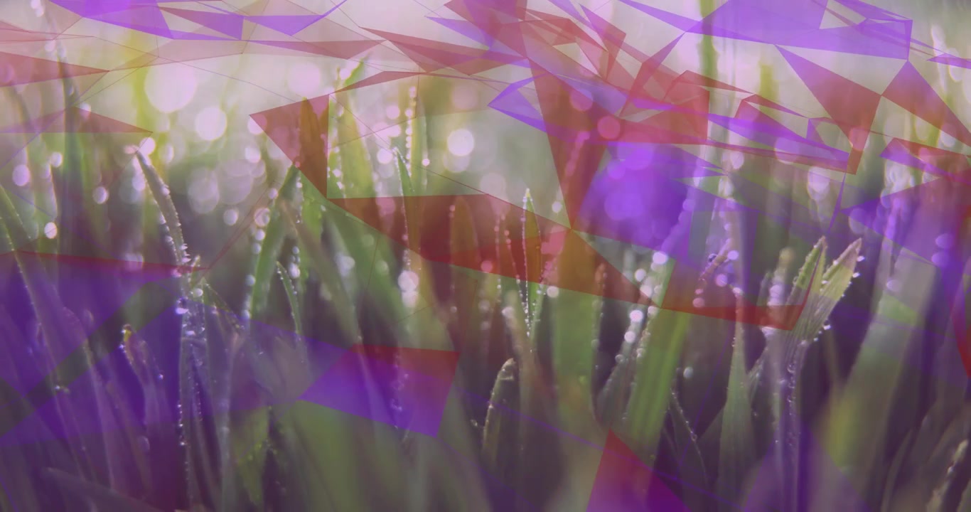 Opening shot triggers grass blades getting drifting purple and red polygons for abstract layering