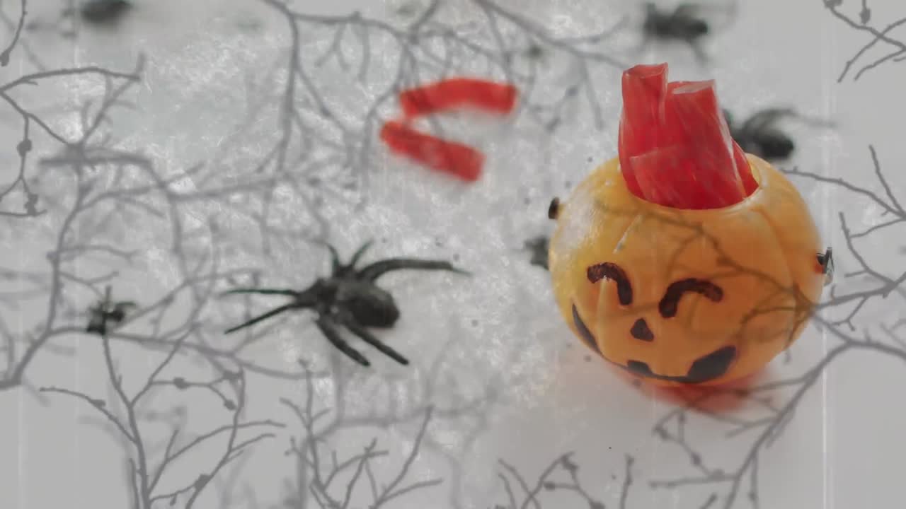animación de balde de calabaza tallada de halloween con dulces y araña en fondo gris.