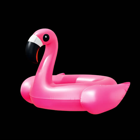 inflatable flamingo pool toy animation isolated asset, transparent 4k video, alpha channel, prores