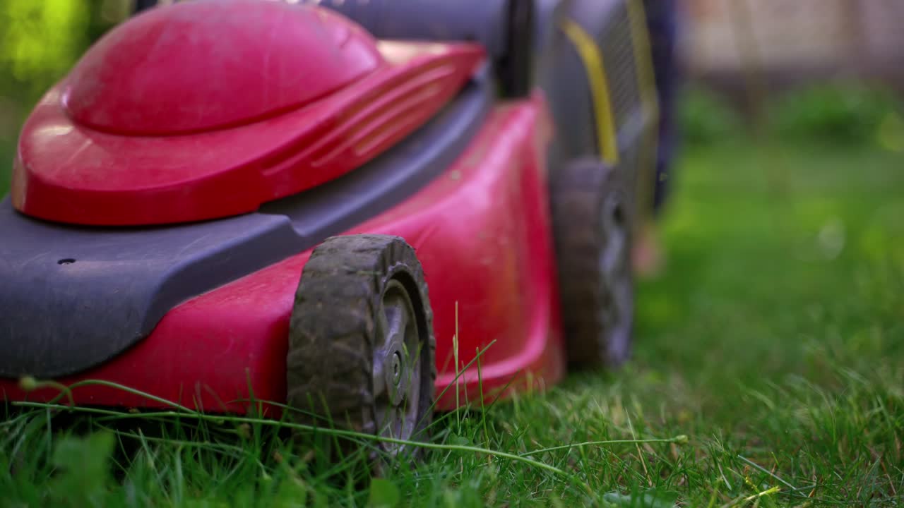 Garden work in summer. Green grass on blur lawn mower background. Motor machine cutting grass. Close-up.