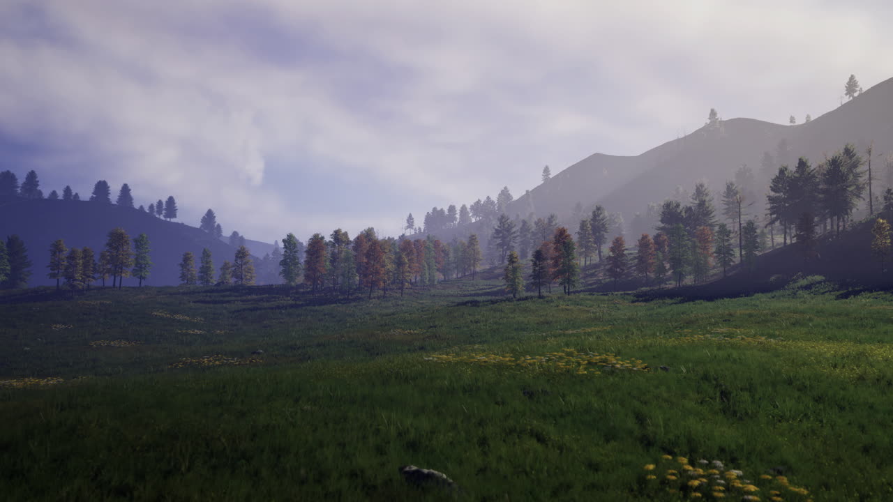 Lush green meadow surrounded by trees and mountains at dusk