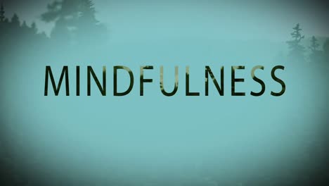 Digital composite video of mindfulness