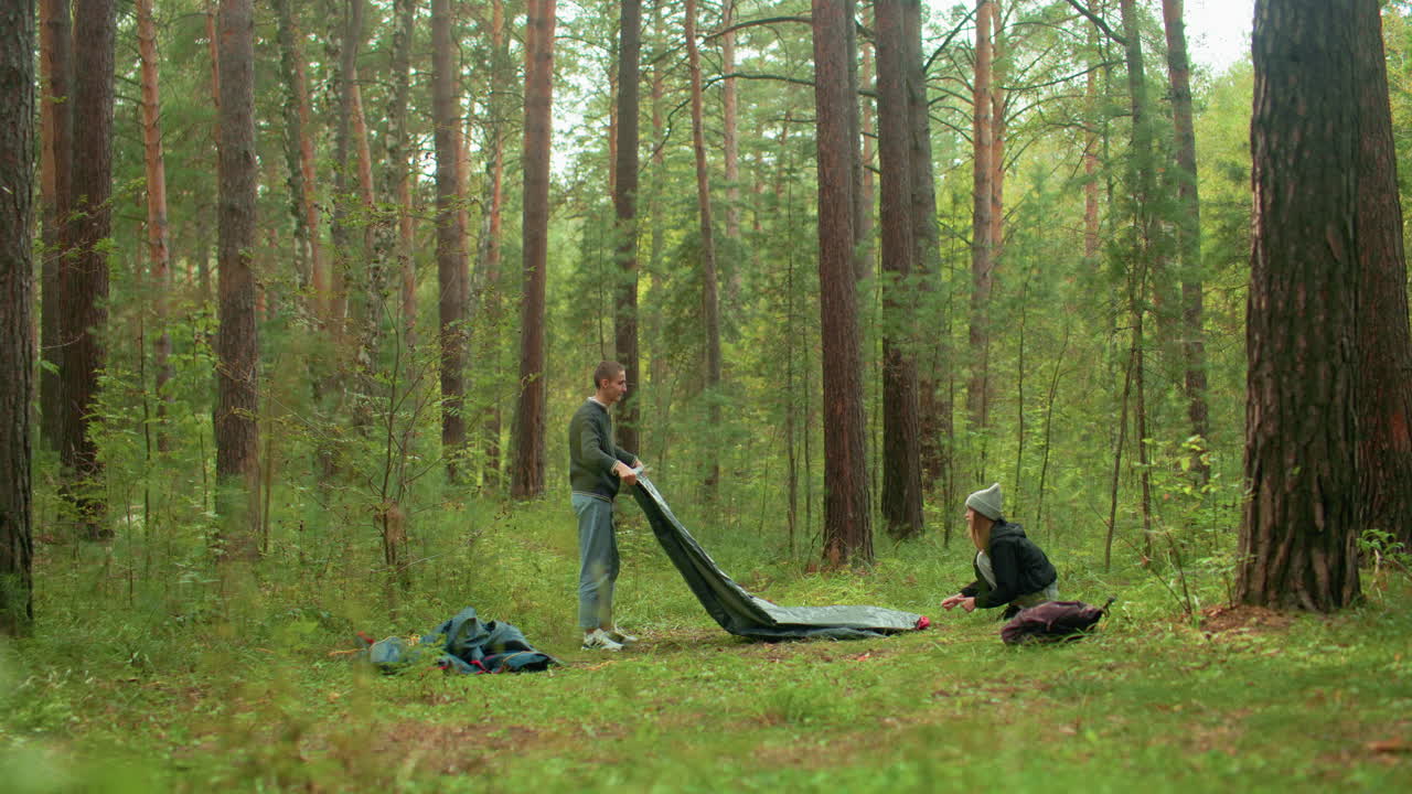 Young man and woman fold tent together on forest ground with bags scattered around, surrounded by tall pine trees and lush greenery in peaceful outdoor camping environment during daytime