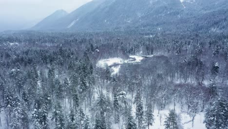 Schöner-Schneeszenenwald-Im-Winter.-Überfliegen-Von-Schneebedeckten-Kiefern.