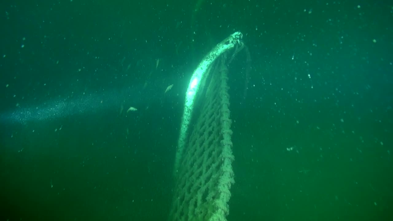 탁한 물속 hmcs 아나폴리스 포트 사이드 레일