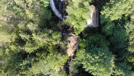 Aerial-of-stream-flowing-through-forest-in-sunlight,-forward-motion