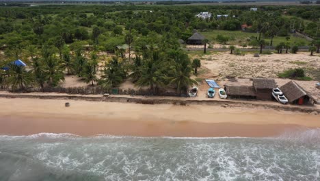 drone volando desde la jungla sobre la playa hasta el océano en la bahía de arugam, sri lanka