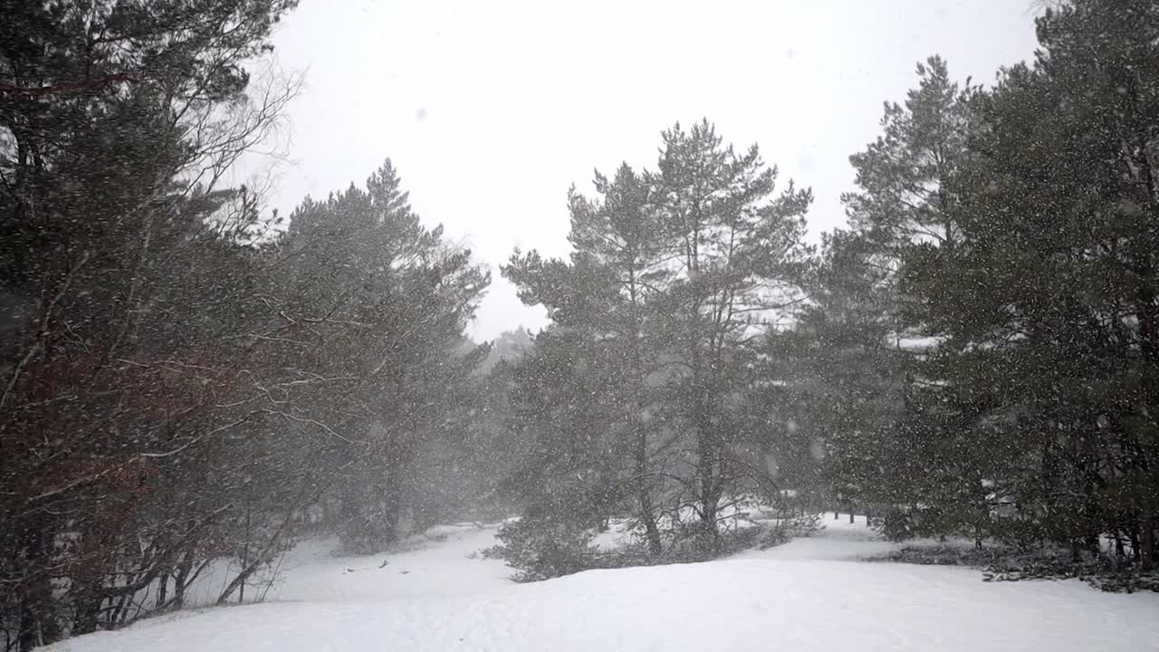 nevando mucho en un bosque, todo cubierto de nieve magia de invierno