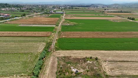 Farming-fields-with-village-close-by-and-tractor-road