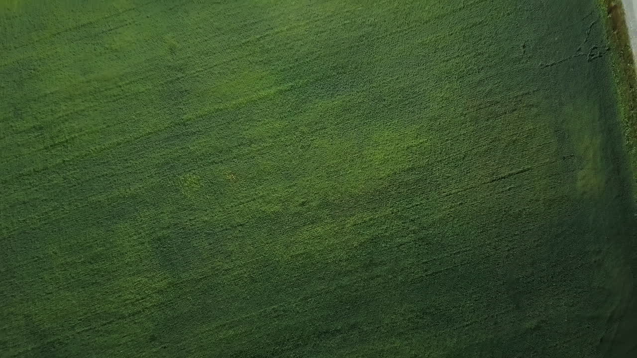 vista aérea de las tierras de cultivo y la carretera