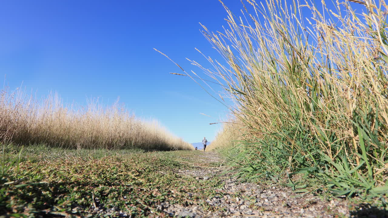 하이킹 트레일 4k를 달리는 개