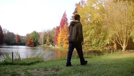 autumn forest park garden landscape