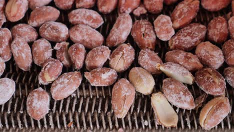 processed peanuts on a conveyor belt