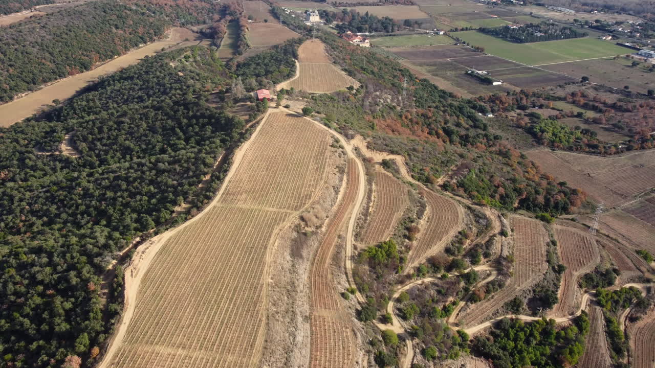 Aerial View of Terraced Vineyard