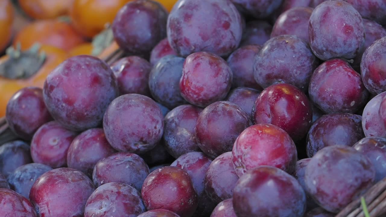 Fresh Plums in a Basket