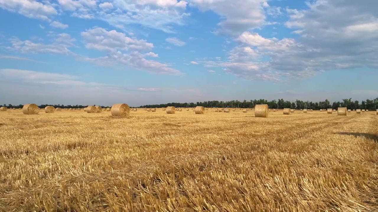 Drone flies between round straw bales spread across an expansive harvested cereal field passing close to several rolls as cut stalks fill the foreground beneath bright scattered summer clouds