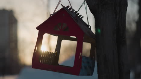 close up of miniature house hanging from tree branch with warm sunlight glowing through window cutouts in background, soft winter ambiance enhanced by green flare and blurred urban silhouette