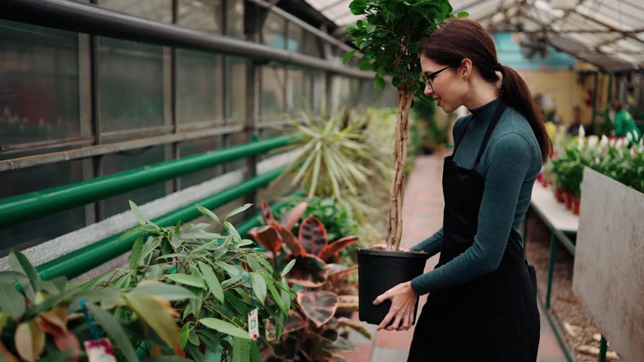 아프론 을 입은 젊은 여성 꽃 가게 가 온실 에 있는 꽃 의 줄 사이 를  ⁇ 고 있으며, 장식 나무 를 들고 큰  ⁇ 비 를 들고 있다