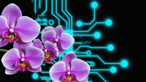 orchids and circuit board: blending nature and technology