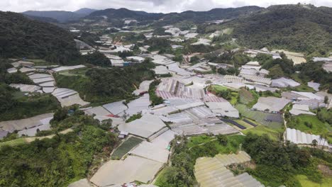 general landscape view of the brinchang district within the cameron highlands area of malaysia