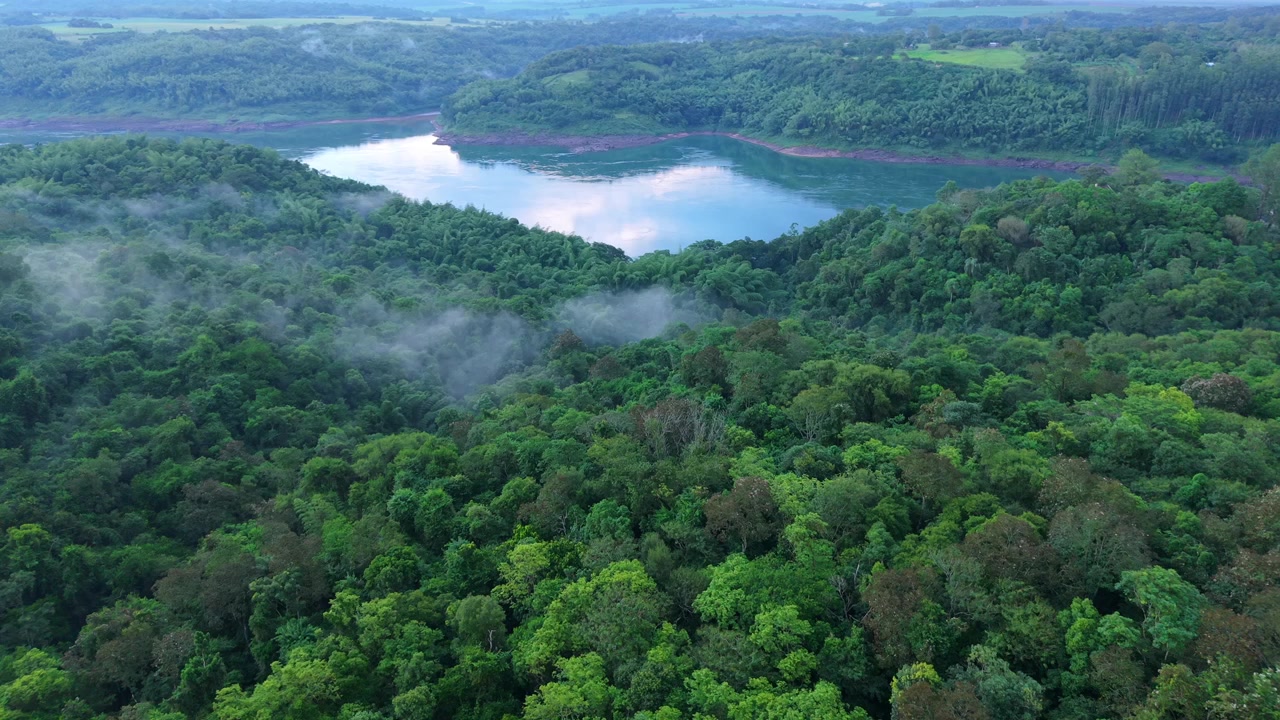 Paraná River winding through dense green rainforest canopy in Misiones Argentina under soft daylight, aerial drone overview