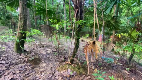 ciervo manchado hembra juvenil en el bosque de cerca