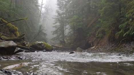 Fluss-In-Zeitlupe-Im-Nebligen-Pazifischen-Nordwestwald