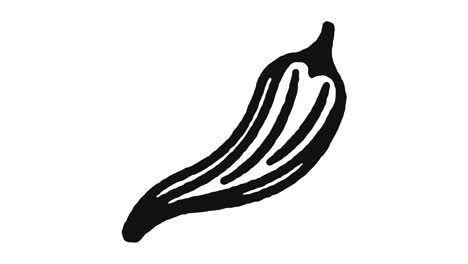 pepper spices icon animation footage & alpha channel