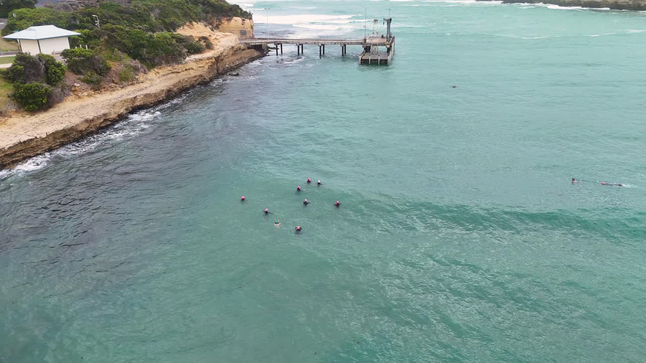 Aerial view of swimmers training near a pier in Port Campbell, Australia. Clear waters, overcast lighting, and dynamic movement create an energetic scene