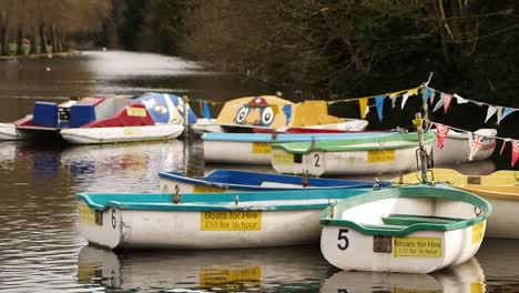 a boat floating on water with a sign of rent