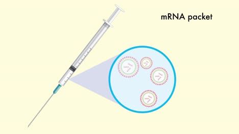 explaining vaccine function through cellular animation