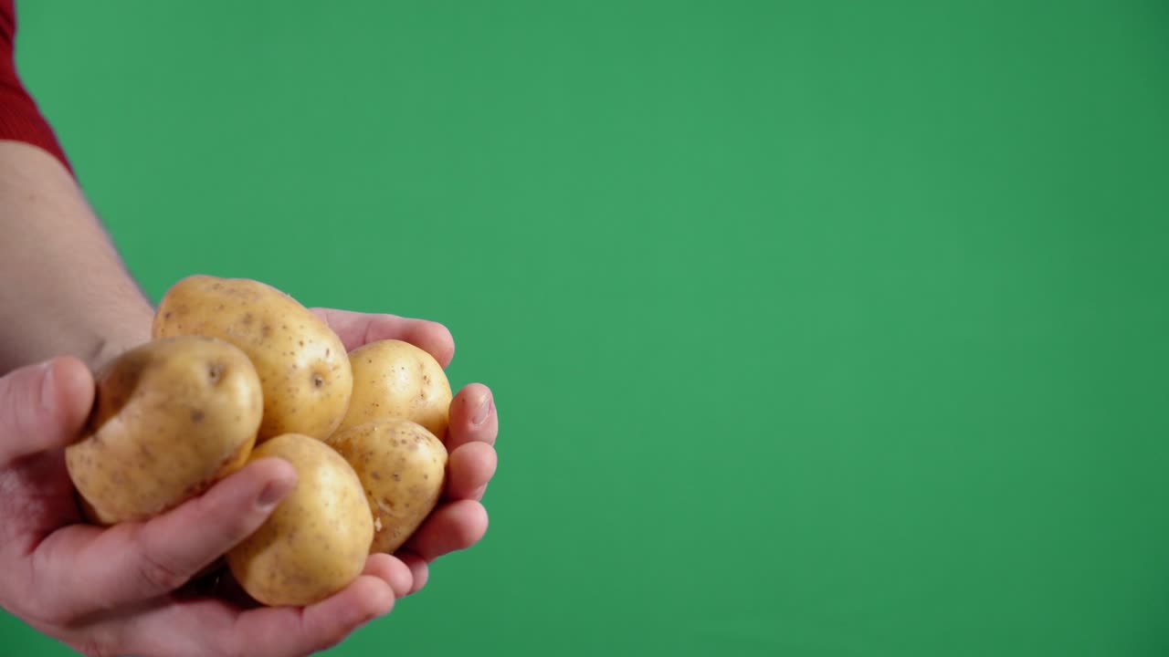 mano masculina con patatas frescas.