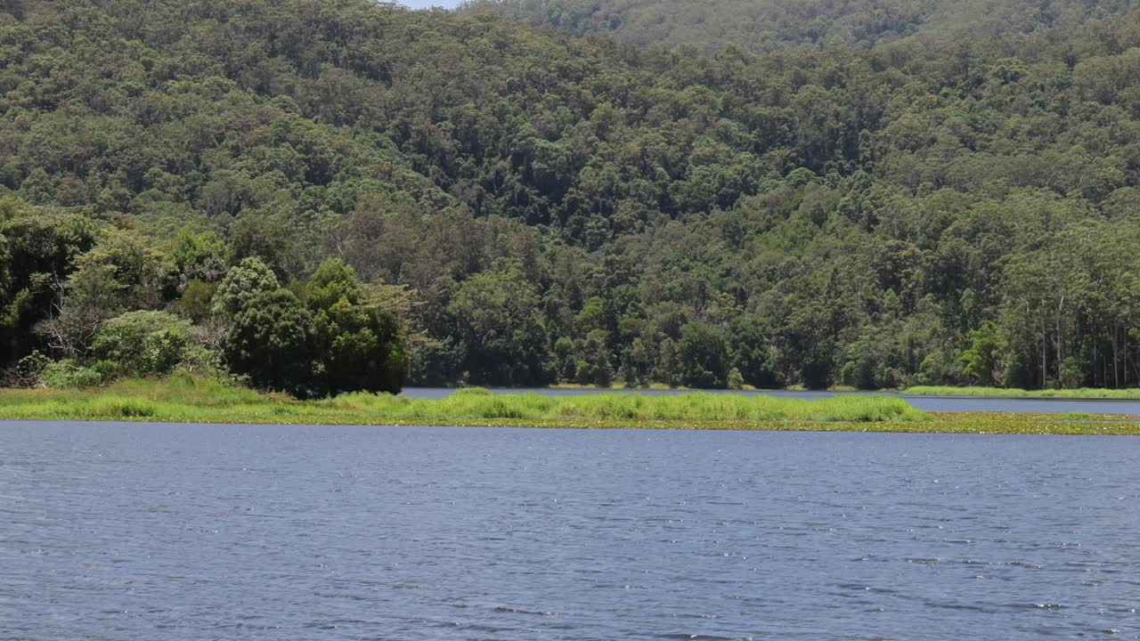 agua tranquila, árboles verdes y una vista de naturaleza pacífica