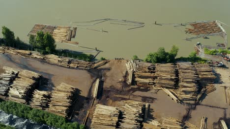 Tree-logging-factory-in-Western-USA