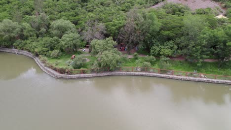 Aerial-shot-away-from-a-family-in-a-pic-nic