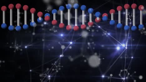 Animation-of-dna-strand-spinning-with-network-of-connections