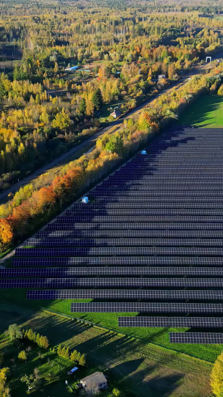 Autumn colored foest and solar panel field, aerial vertical view