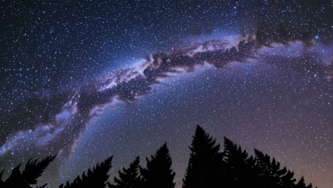 milky way over a forest at night