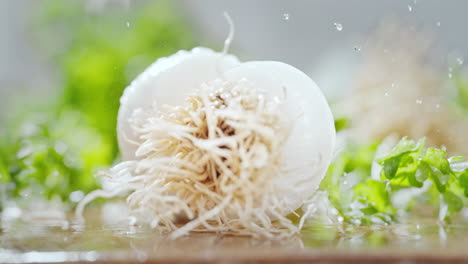 raíz de un puerro cortado con un cuchillo japonés afilado en un mostrador de cocina húmedo en macro y cámara lenta