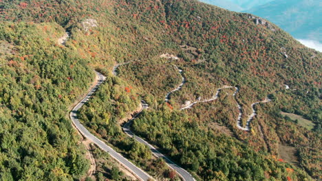 a road winds through a hillside covered in trees the road is gray and the trees are green and brown a mountain is in the background