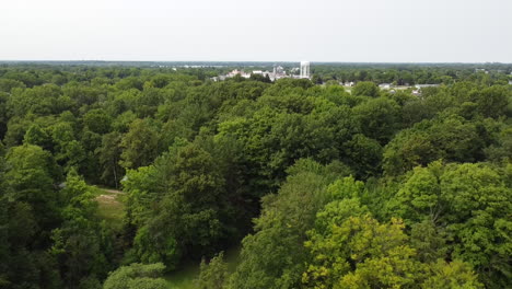 Bosque-Sobre-Imágenes-Aéreas-De-Drones-Fremont-Michigan-Park-En-La-Naturaleza